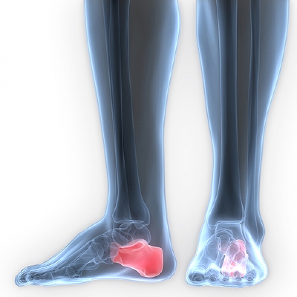 Different Types of Foot Pain | #1 Podiatry Center | Florida Foot & Ankle